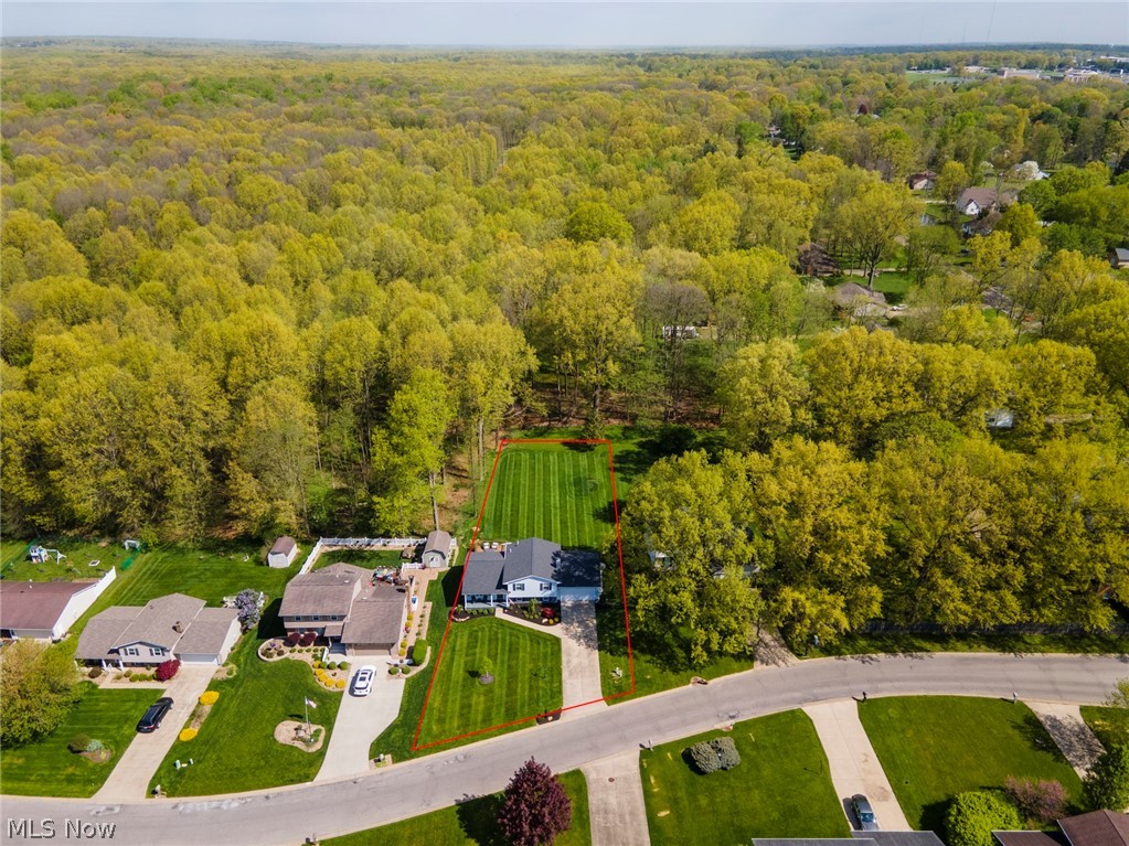 Angiline - Residential