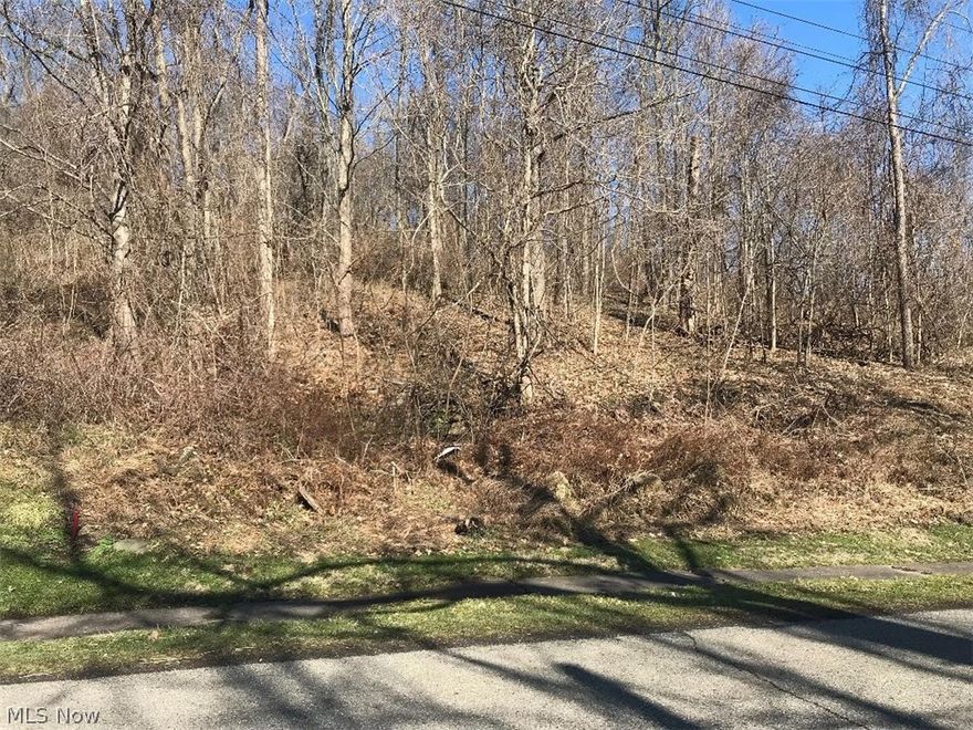 Nearly one-half acre of land (3 parcels) with direct access to I-70 in Hendrysburg. Mostly sloped, wooded lot with a flat area at the bottom near the road with remannts of an old foundation. Ideal for trailer or camper. Close to Piedmont Lake. Minerals rights will convey.