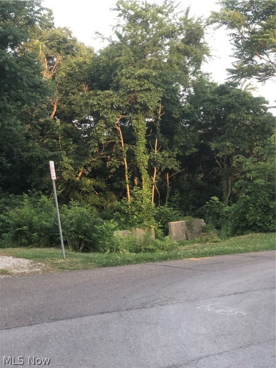 Empty lot with part of a foundation. House is gone. Close to amenities.