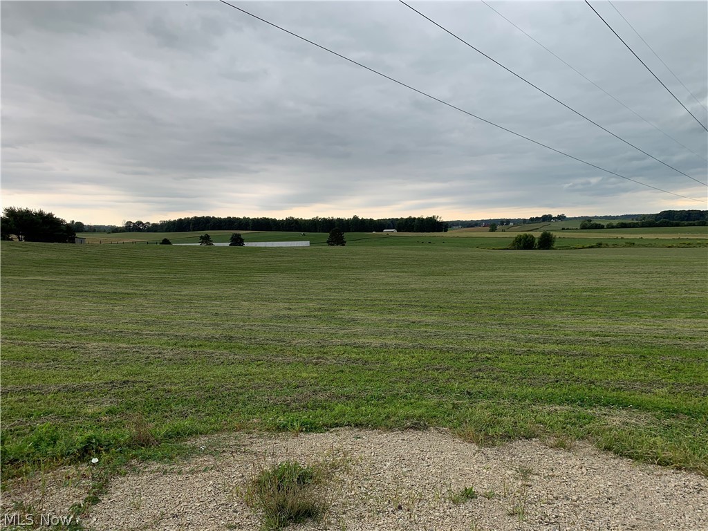 AUCTION!
If you are looking for that highly visible location for your business expansion plans or a site for a new home and buildings, this offering fits the bill. Located at the east edge of Apple Creek the 18.5 acres is open, mostly level, and buildable. To be sold in 4 parcels ranging from 3.42 to 6.63 acres. Access for all parcels is via a 30’ access easement off Criswell Rd. Natural gas and electric available. All seller owned minerals rights transfer to buyers.
Parcel 1: 4.063 acres, with 377’ total frontage on Criswell Rd. and US 250. Access to Criswell via 30’ access easement. Taxes are $24.47 per ½ year.
Parcel 2: 3.424 acres, with 317’ frontage on Criswell Rd. Access to Criswell via 30’ access easement. Taxes are $25.09 per ½ year.
Parcel 3: 4.413 acres. Access to Criswell via 30’ access easement. Taxes are $62.31 per ½ year.
Parcel 4: 6.631 acres. Access to Criswell via 30’ access easement. Taxes are $71.25 per ½ year.