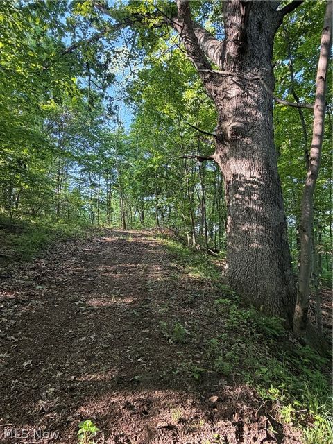 Tiny photo for Crum Ridge Rd, Caldwell, OH 43724 (MLS # 5211205)