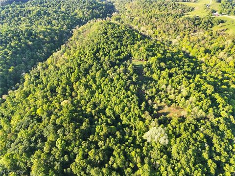 Tiny photo for Crum Ridge Rd, Caldwell, OH 43724 (MLS # 5211205)