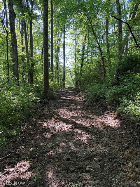 Tiny photo for Crum Ridge Rd, Caldwell, OH 43724 (MLS # 5211205)