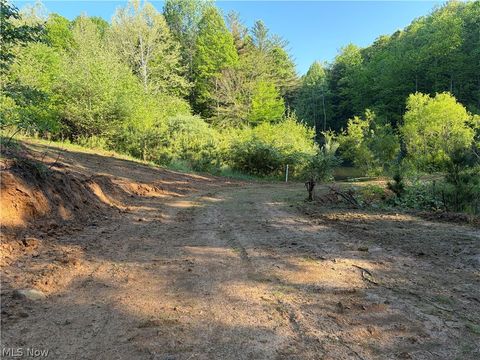 Tiny photo for Crum Ridge Rd, Caldwell, OH 43724 (MLS # 5211205)