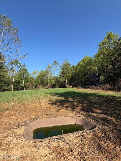 Tiny photo for Crum Ridge Rd, Caldwell, OH 43724 (MLS # 5211205)