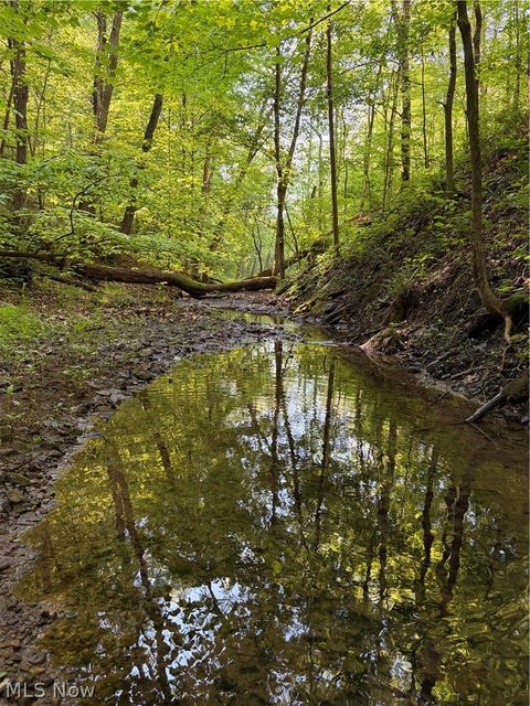 Tiny photo for Crum Ridge Rd, Caldwell, OH 43724 (MLS # 5211205)