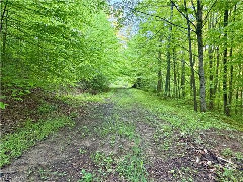 Tiny photo for Crum Ridge Rd, Caldwell, OH 43724 (MLS # 5211205)