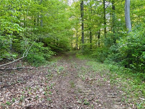 Tiny photo for Crum Ridge Rd, Caldwell, OH 43724 (MLS # 5211205)