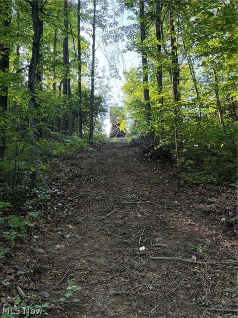 Tiny photo for Crum Ridge Rd, Caldwell, OH 43724 (MLS # 5211205)