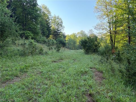 Tiny photo for Crum Ridge Rd, Caldwell, OH 43724 (MLS # 5211205)