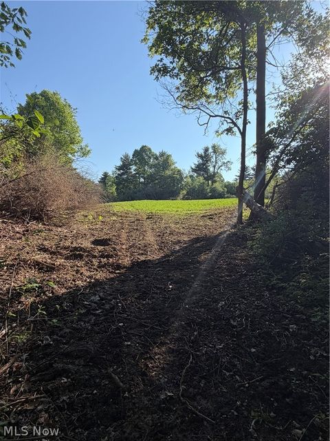 Tiny photo for Crum Ridge Rd, Caldwell, OH 43724 (MLS # 5211205)