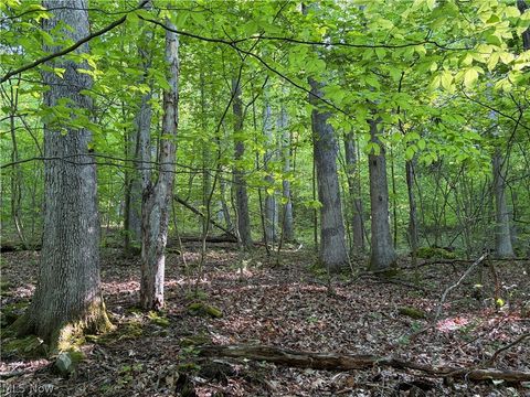 Tiny photo for Crum Ridge Rd, Caldwell, OH 43724 (MLS # 5211205)