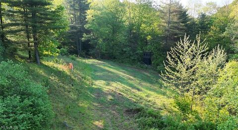 Tiny photo for Crum Ridge Rd, Caldwell, OH 43724 (MLS # 5211205)