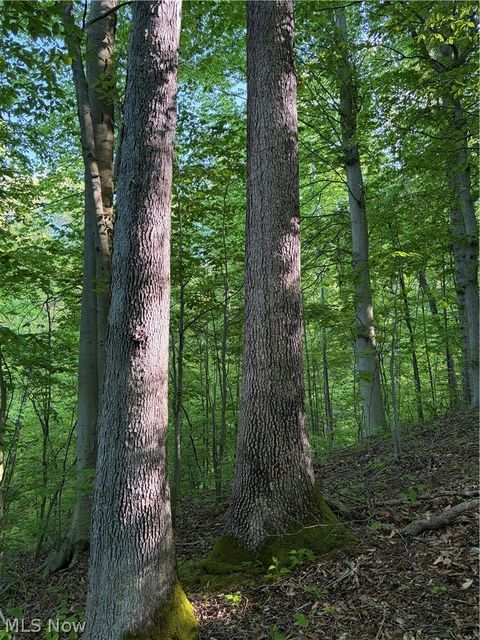 Tiny photo for Crum Ridge Rd, Caldwell, OH 43724 (MLS # 5211205)