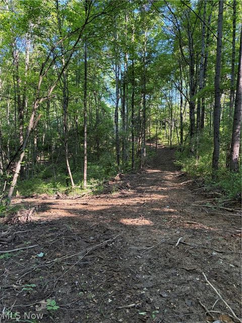 Tiny photo for Crum Ridge Rd, Caldwell, OH 43724 (MLS # 5211205)