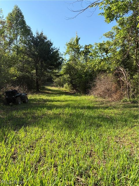 Tiny photo for Crum Ridge Rd, Caldwell, OH 43724 (MLS # 5211205)