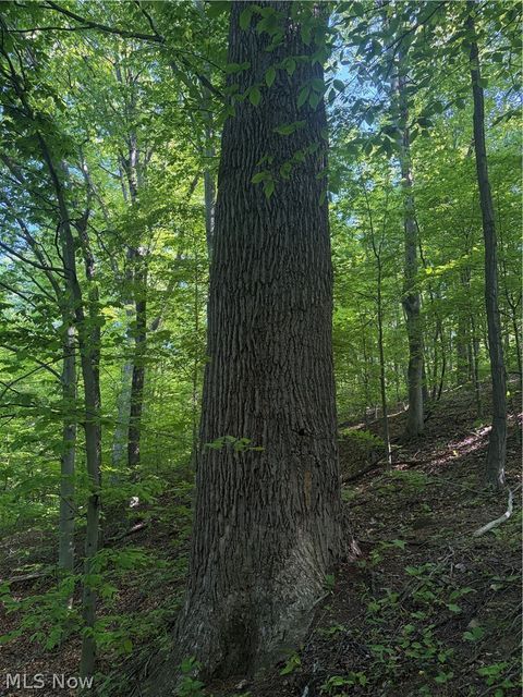 Tiny photo for Crum Ridge Rd, Caldwell, OH 43724 (MLS # 5211205)