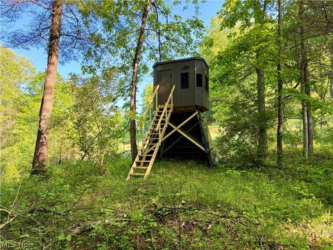 Tiny photo for Crum Ridge Rd, Caldwell, OH 43724 (MLS # 5211205)