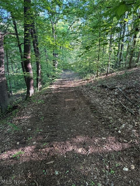 Tiny photo for Crum Ridge Rd, Caldwell, OH 43724 (MLS # 5211205)