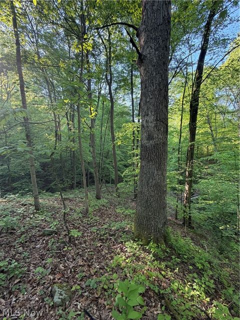 Tiny photo for Crum Ridge Rd, Caldwell, OH 43724 (MLS # 5211205)