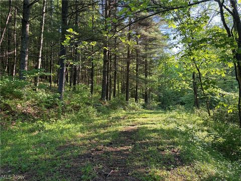 Tiny photo for Crum Ridge Rd, Caldwell, OH 43724 (MLS # 5211205)