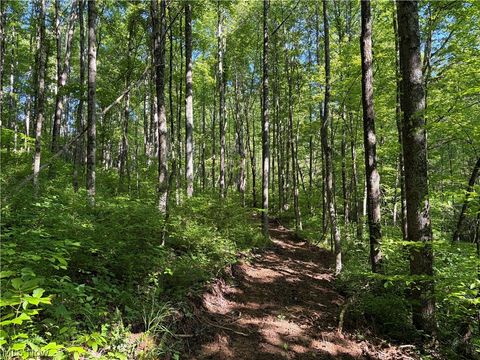 Tiny photo for Crum Ridge Rd, Caldwell, OH 43724 (MLS # 5211205)
