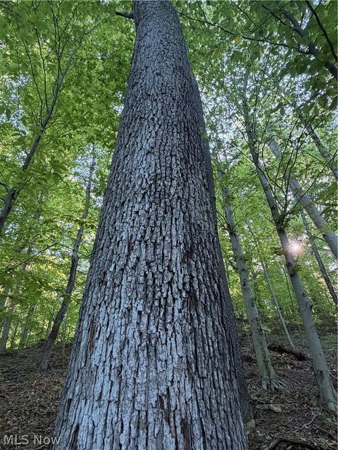 Tiny photo for Crum Ridge Rd, Caldwell, OH 43724 (MLS # 5211205)