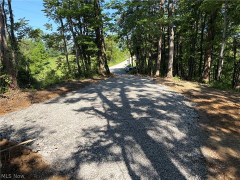 Tiny photo for Crum Ridge Rd, Caldwell, OH 43724 (MLS # 5211205)