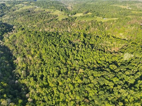 Tiny photo for Crum Ridge Rd, Caldwell, OH 43724 (MLS # 5211205)