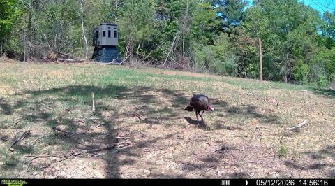 Tiny photo for Crum Ridge Rd, Caldwell, OH 43724 (MLS # 5211205)