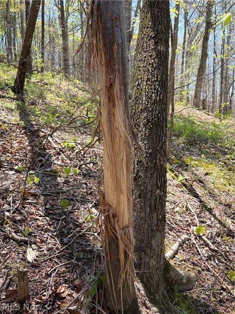 Tiny photo for Crum Ridge Rd, Caldwell, OH 43724 (MLS # 5211205)
