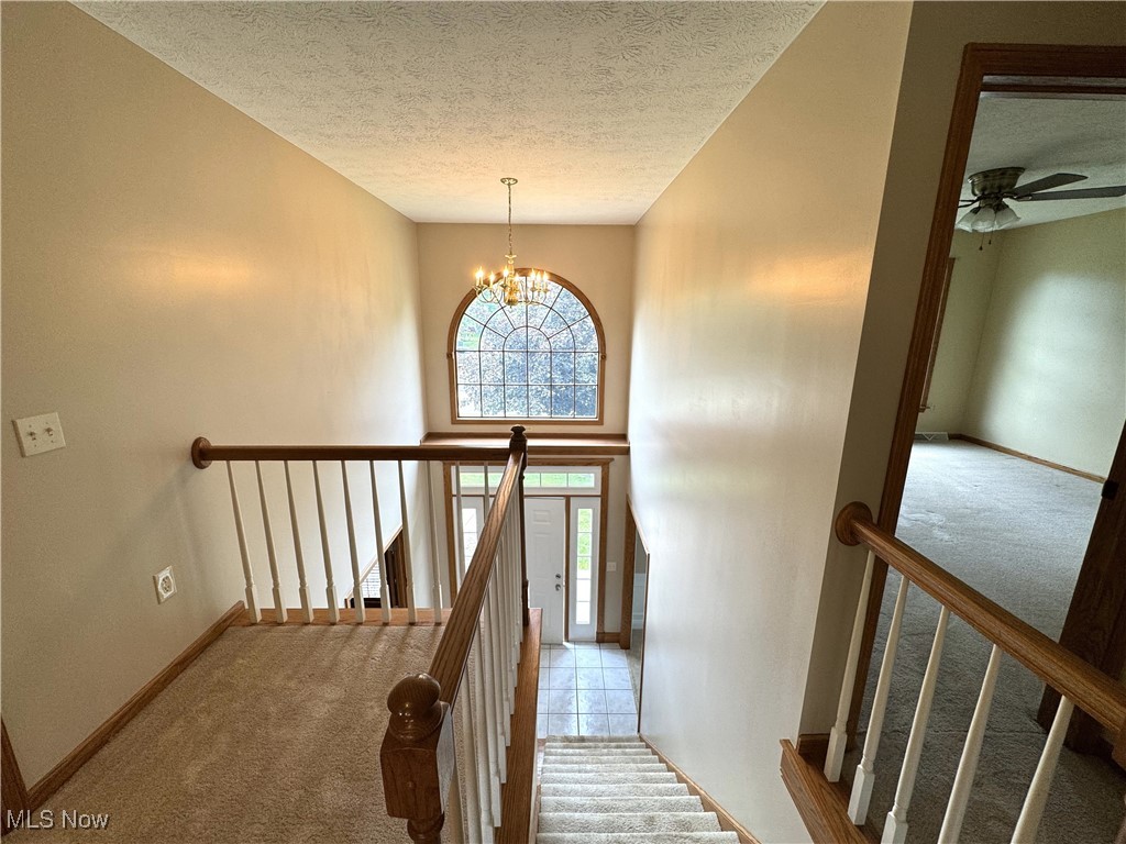 2761 Timberline Drive, Cortland, Ohio image 15