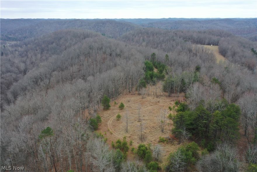 Escape to your own secluded paradise with this 36.33-acre property in Arnoldsburg, West Virginia. The property offers the privacy and freedom of off-grid living with several natural building sites, perfect for constructing your dream home. Access is via a gated right-of-way access road, and the property boasts trails through the bottomland, offering ample opportunities for hiking and hunting. The property features two small fields suitable for crops or raising animals and a wooded ridgetop with the potential for cleared flat ground. Additionally, there's an opportunity to acquire an adjacent 31.92 acres of land, currently listed as 001 Barnes Run Road, to expand your acreage even further. Schedule a showing today to view both properties and start planning your off-grid lifestyle. No restrictions in Calhoun County. Rainwater harvesting is legal here.