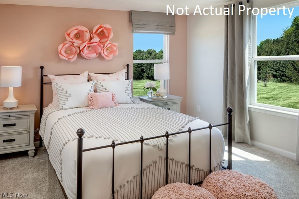 Lake Forest of Hebron - Residential