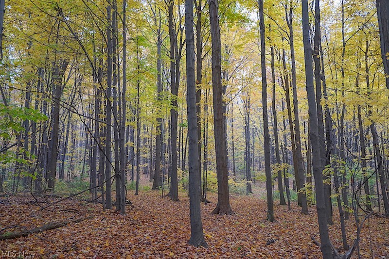 Connecticut Western Reserve - Residential