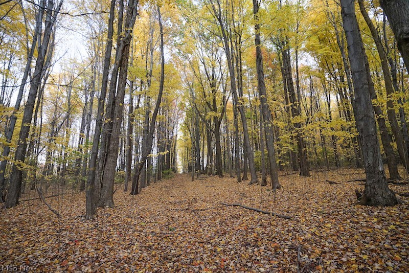 Connecticut Western Reserve - Residential