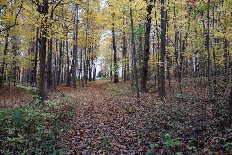 Connecticut Western Reserve - Residential