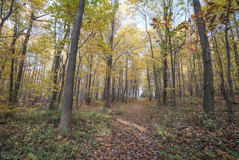 Connecticut Western Reserve - Residential