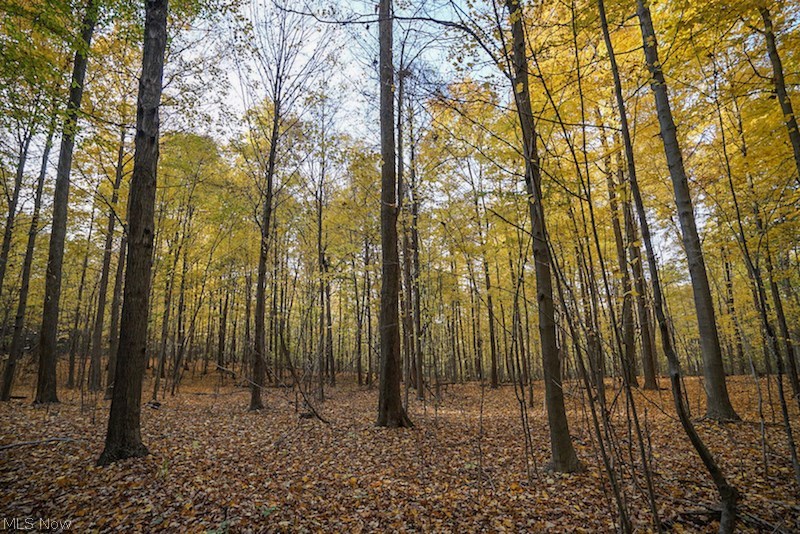 Connecticut Western Reserve - Residential