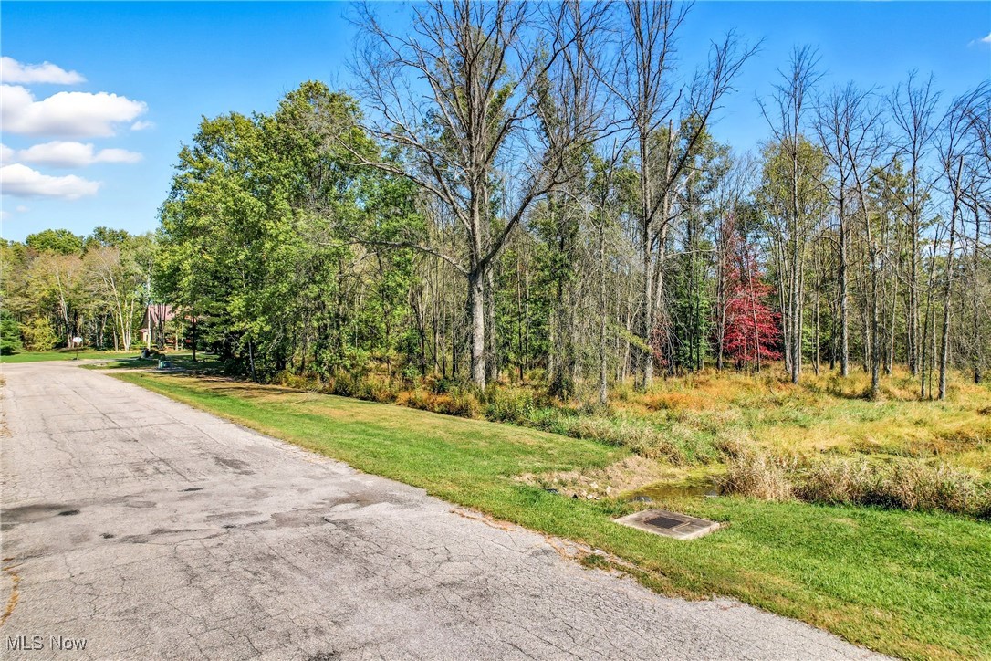 Rustling Pines Ph I - Land