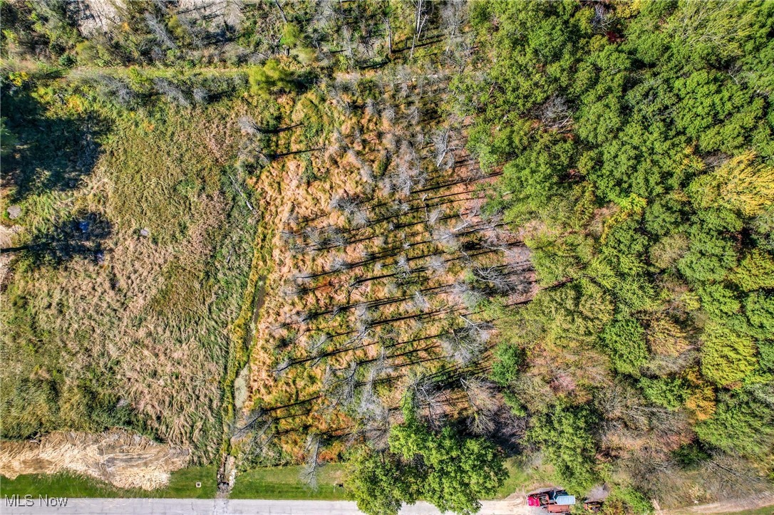 Rustling Pines Ph I - Land