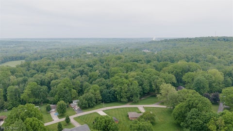 Vacant Land For Sale - Chestnut Ridge Road<br/> Masury, OH 44438