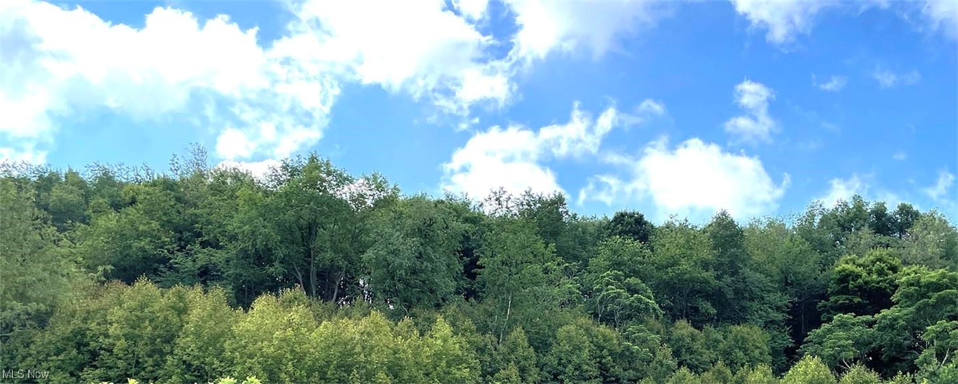 Lippincott Road, East Rochester, Ohio image 2