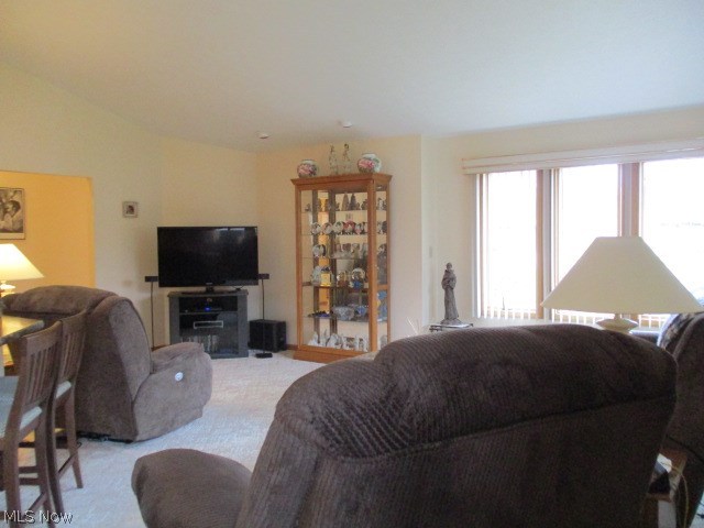 Whispering Meadows Condo - Residential