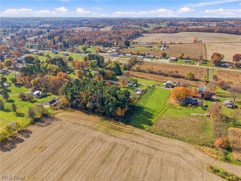 Tiny photo for 9076 Plymouth Street, Hanoverton, OH 44423 (MLS # 5256992)