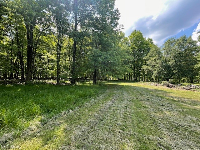 Connecticut Woods - Land