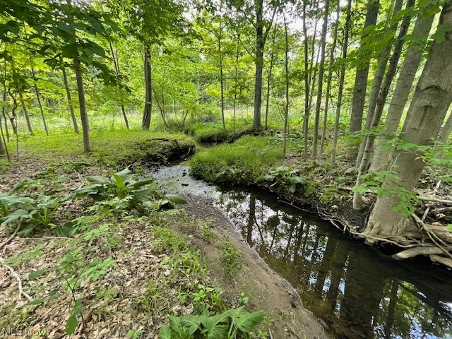 Connecticut Woods - Land
