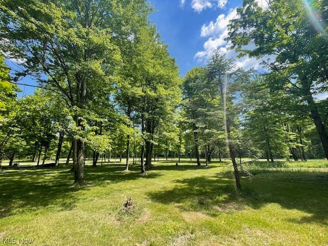 Connecticut Woods - Land