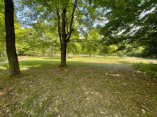 Connecticut Woods - Land