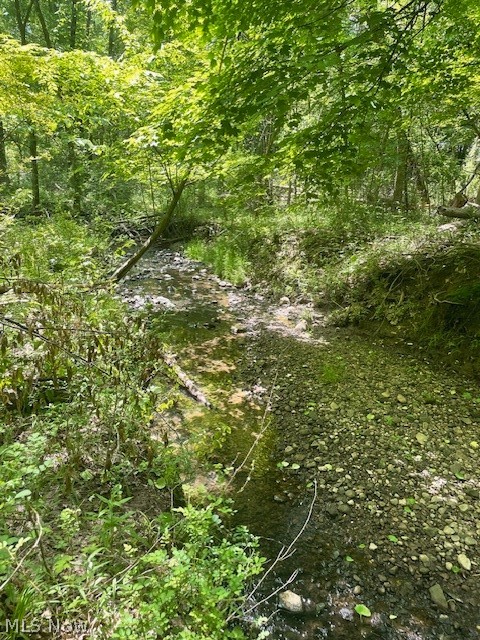 Connecticut Woods - Land